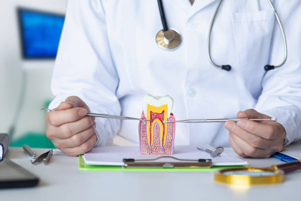 Best Urgent Dental Care for Toothache in Henderson, GA